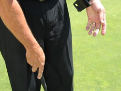 Putting and Chipping brace