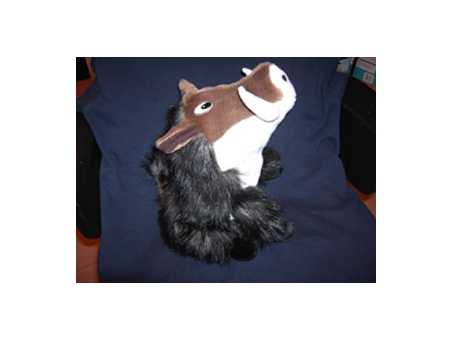 headcover djur vildsvin!