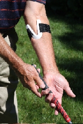 pain reliever tennis elbow golf elbow mice elbow!