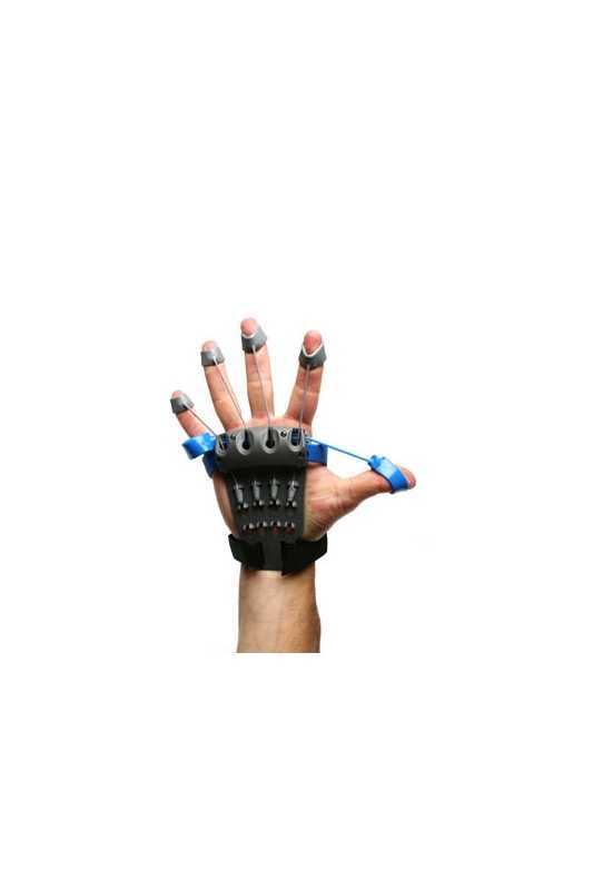 träna extensor-musklerna i fingrarna underarmarna! träna extensor-musklerna i fingrarna underarmarna!
