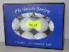golfbollar titleist pro v1