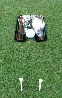 Putt gate trainer + mirror (small)