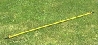 Alignment rods Pro 2 pcs