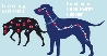 Energy Necklace Dog transparent