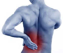 Fix Back ortopediskt ryggstöd medium 81 cm - 120 cm