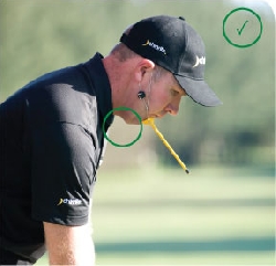 Posture Chin alignment system