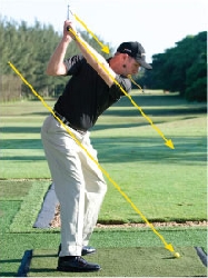 Rätt kroppshållning - hakan på rätt ställe