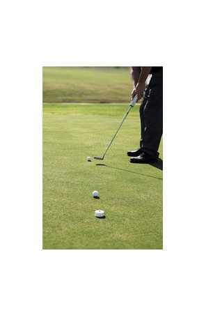 Putting Target 360 indoor outdoor