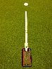 True Putting Roll Trainer + spegel