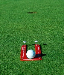 Golf Ball Gate Trainer Standard