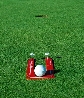 Golf Ball Gate Trainer Standard