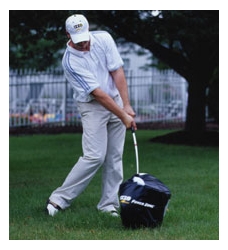 Impact golf bag standard