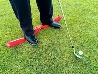Balance Rod Plus golf