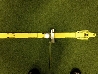 True Putting Roll Trainer Proffs nivå