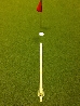 True Putting Roll Trainer Proffs nivå