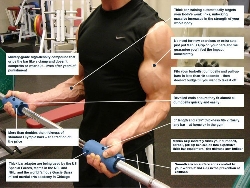 Manus Grip Adapter tjock stång svart