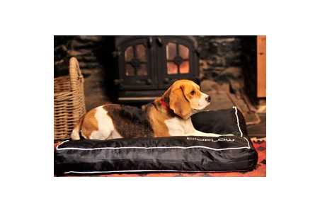 Dog Cat Magnetic Bed bioflow