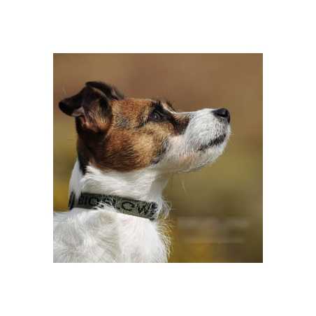 Dog Collar Magnetic bioflow max 45 cm green