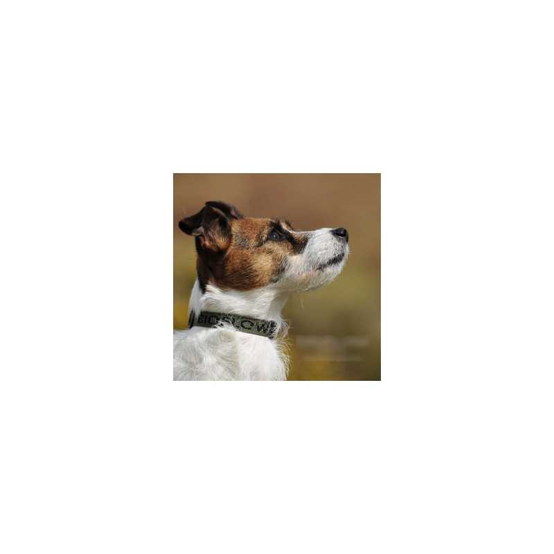 Dog Collar Magnetic bioflow max 65 cm green