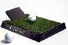 Golf Short Game Chip Trainer Pro Mat