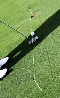 Golf Putting Line short and medium